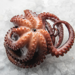 Comprar pulpo congelado en Marodi