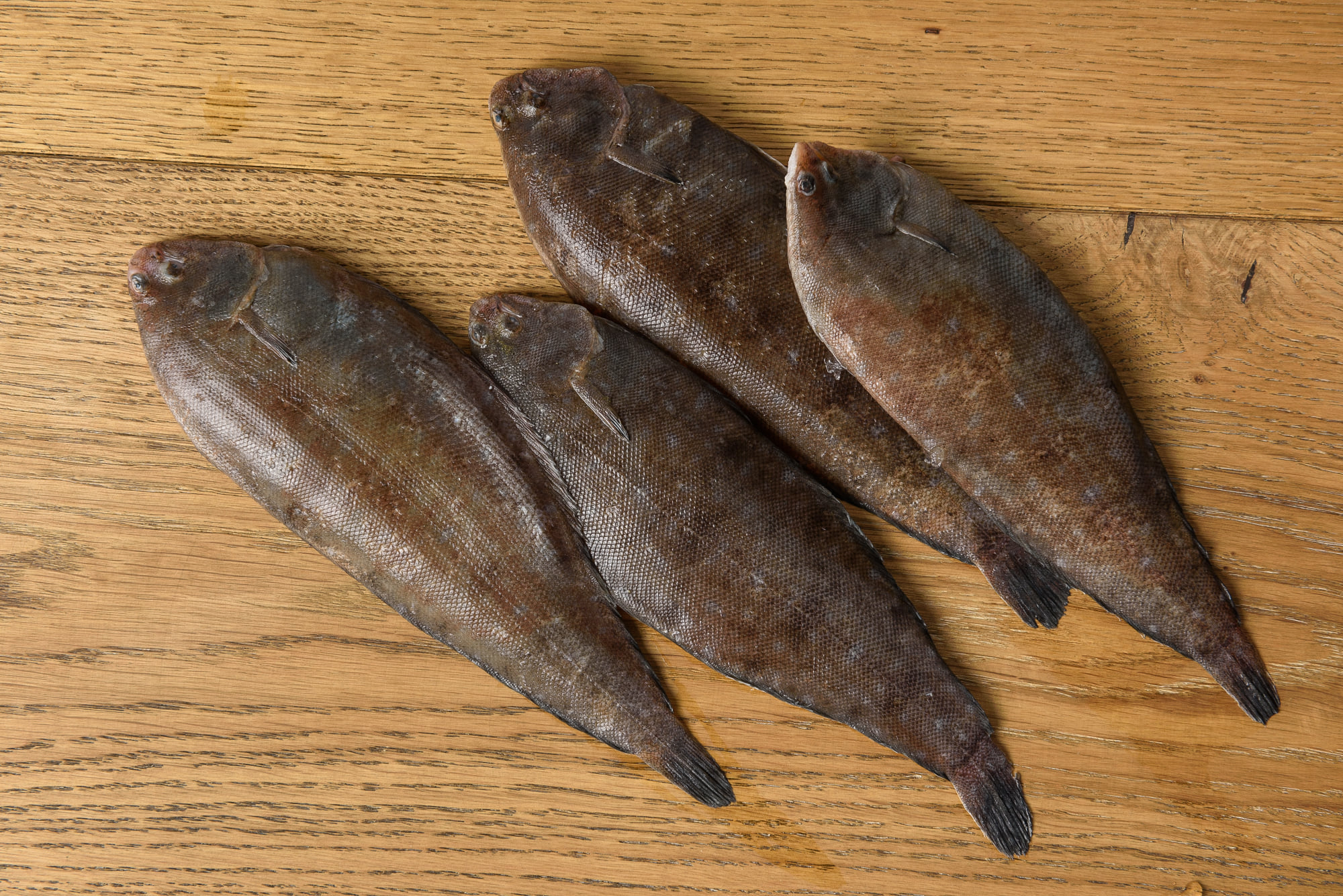 Comprar pescados en El Puerto de Santa María